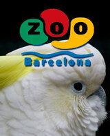 Zoo de Barcelona, descubre el lado animal de la ciudad