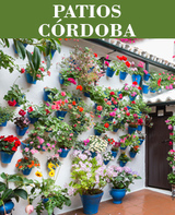  Visita Guiada Patios Populares de Córdoba