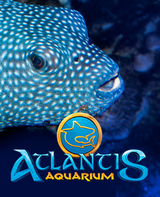 Atlantis Aquarium Madrid, en C.C. intu Xanadú