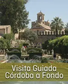 Visita Guiada  Córdoba a Fondo
