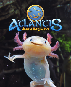 Atlantis Aquarium Madrid, en C.C. intu Xanadú
