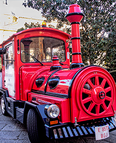 Tren Turístico de Salamanca