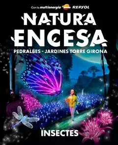 Natura Encesa - Insectes