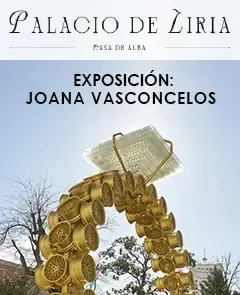 Palacio de Liria: Visita Palacio y Joana Vasconcelos