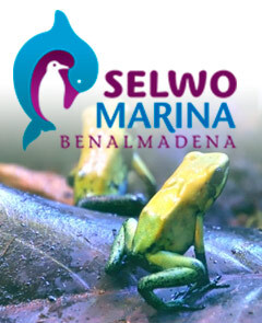 Selwo Marina - Benalmádena